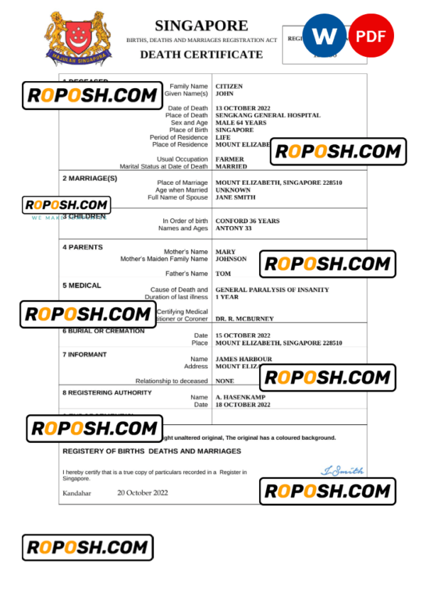 Singapore vital record death certificate Word and PDF template