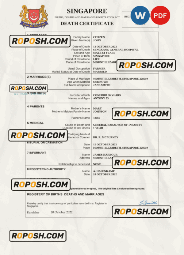 Singapore vital record death certificate Word and PDF template