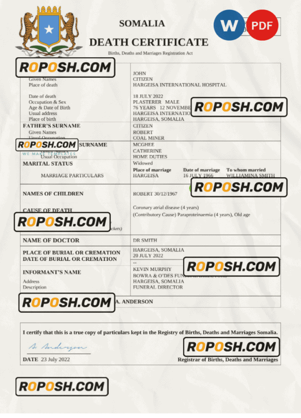Somalia vital record death certificate Word and PDF template