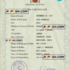 Spain death certificate PSD template, completely editable