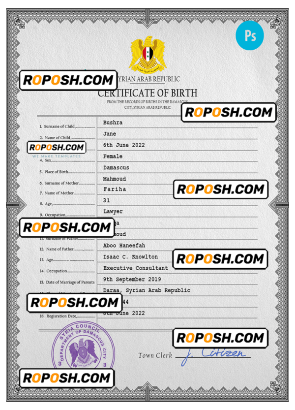 Syria birth certificate PSD template, completely editable