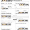 USA birth certificate Word and PDF template, completely editable