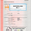 Poland marriage certificate template in Word and PDF format