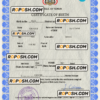 Yemen vital record birth certificate PSD template, fully editable scan effect