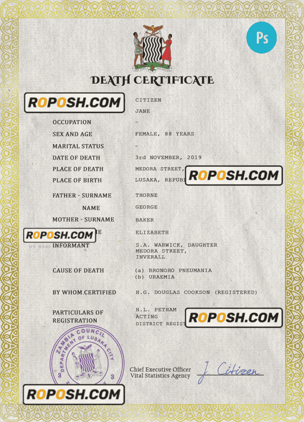 Zambia vital record death certificate PSD template