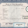 USA New Hampshire state birth certificate template in PSD format, fully editable