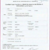 Zimbabwe birth certificate template in PSD format, fully editable
