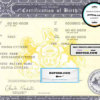USA Pennsylvania state birth certificate template in PSD format, fully editable