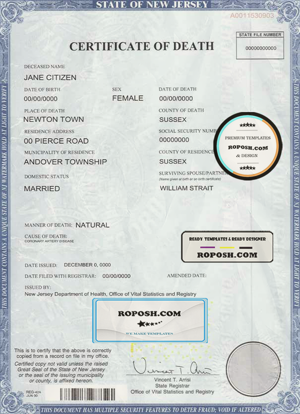 USA state New Jersey death certificate template in PSD format fully