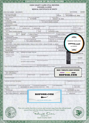 USA Illinois state death certificate template in PSD format, fully editable