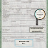 USA Illinois state death certificate template in PSD format, fully editable