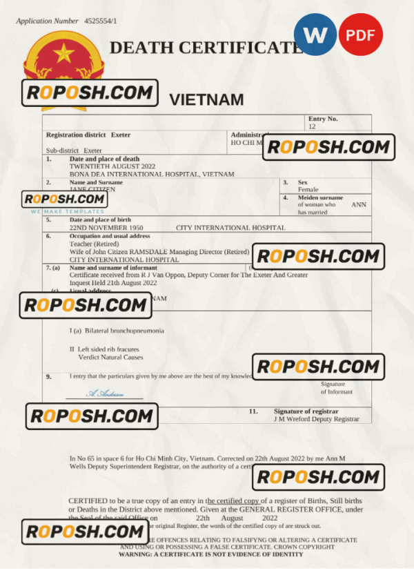 Vietnam vital record death certificate Word and PDF template