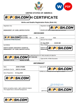 USA vital record death certificate Word and PDF template