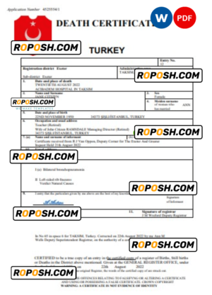 Turkey vital record death certificate Word and PDF template