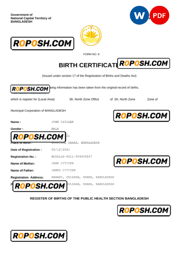 Bangladesh vital record birth certificate Word and PDF template, fully editable