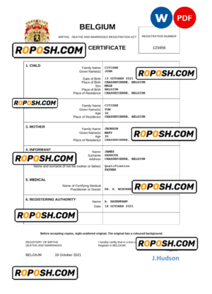 Belgium vital record birth certificate Word and PDF template