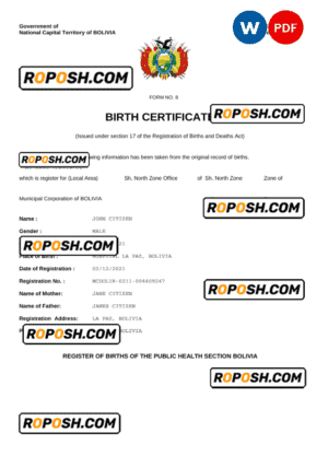 Bolivia vital record birth certificate Word and PDF template