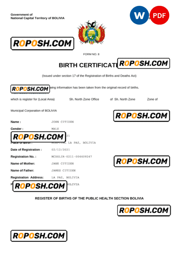 Bolivia vital record birth certificate Word and PDF template