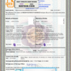 India marriage certificate template in PSD format, fully editable