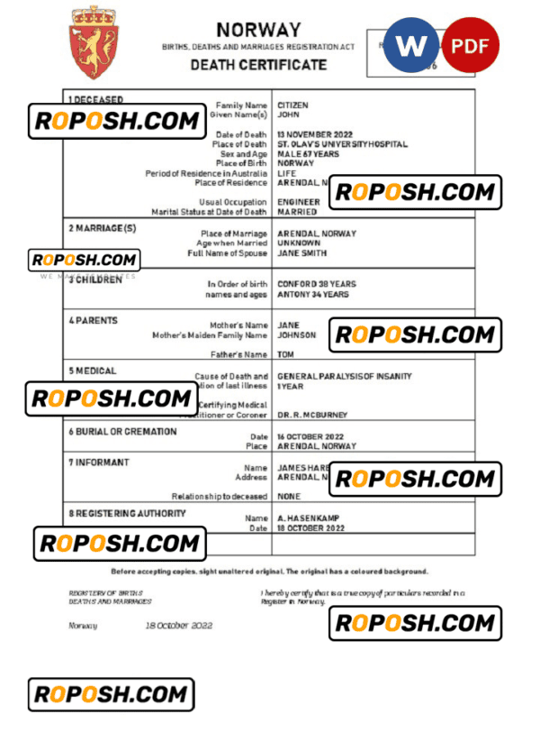 Norway vital record death certificate Word and PDF template