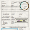 Australia Queensland marriage certificate template in Word format