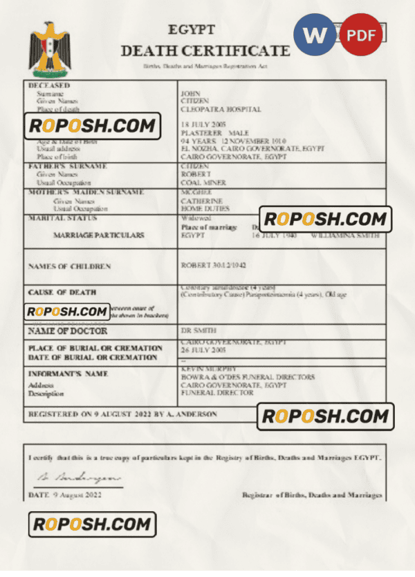 Egypt vital record death certificate Word and PDF template