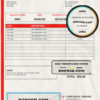 red health medical universal multipurpose invoice template in Word and PDF format, fully editable scan effect
