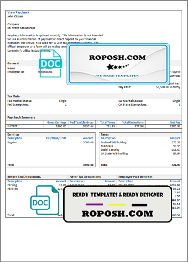 over cutely pay stub template in Word and PDF format
