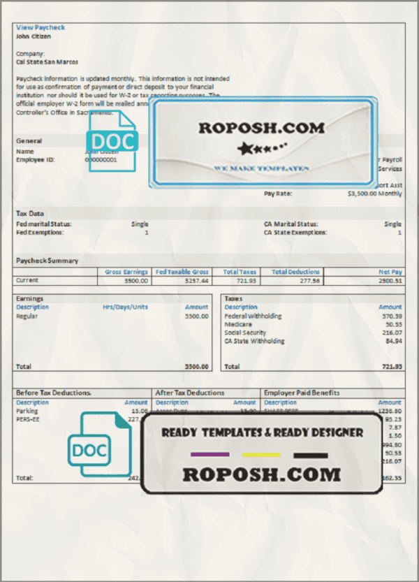 over cutely pay stub template in Word and PDF format