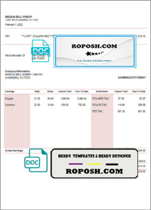 fine touch pay stub template in Word and PDF format