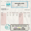 fine touch pay stub template in Word and PDF format scan effect