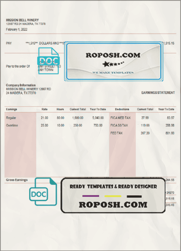 fine touch pay stub template in Word and PDF format