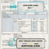 good liker pay stub template in Word and PDF format scan effect