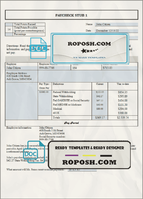 good liker pay stub template in Word and PDF format