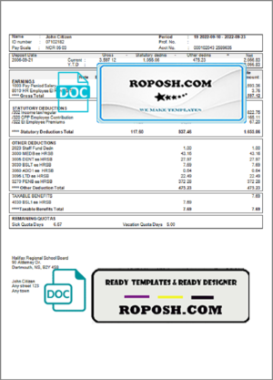 bale out pay stub template in Word and PDF format