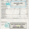 bale out pay stub template in Word and PDF format scan effect