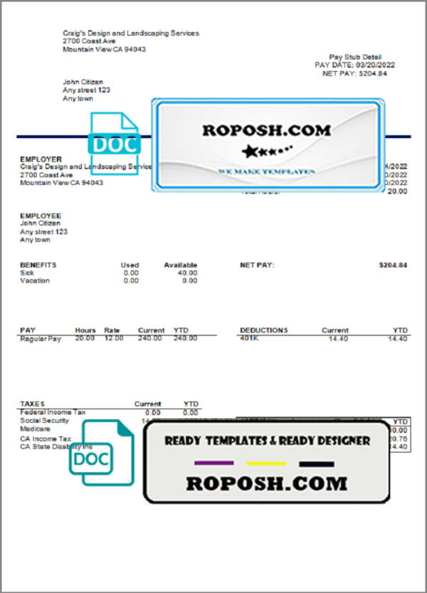 bright mind pay stub template in Word and PDF format