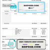 nice job pay stub template in Word and PDF format