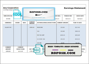 focus point pay stub template in Word and PDF format