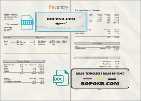 nice likes pay stub template in Word and PDF format