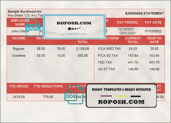sure shot pay stub template in Word and PDF format