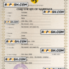 charm universal marriage certificate PSD template, fully editable