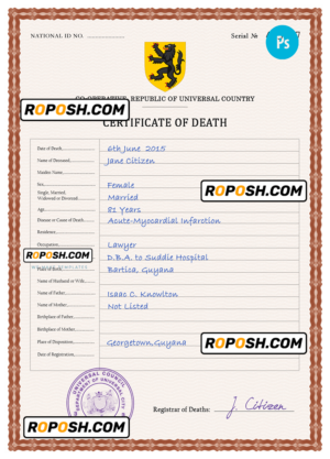 horizon vital record death certificate universal PSD template