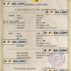 license universal marriage certificate PSD template, fully editable scan effect