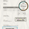 own embrace universal multipurpose invoice template in Word and PDF format, fully editable scan effect