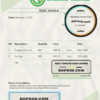platinium team universal multipurpose invoice template in Word and PDF format, fully editable scan effect