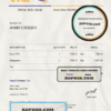 ringer proof universal multipurpose invoice template in Word and PDF format, fully editable scan effect
