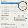 social affect universal multipurpose invoice template in Word and PDF format, fully editable