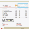 perfect detail universal multipurpose bank statement template in Word format