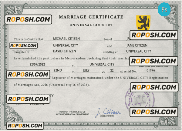 snapshot universal marriage certificate PSD template, fully editable